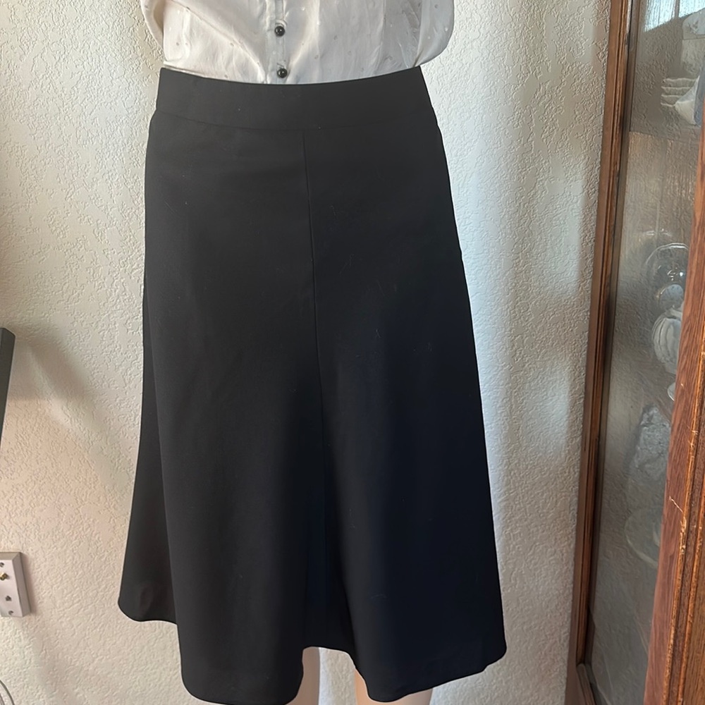 Banana Republic Stretch Worsted Wool Skirt